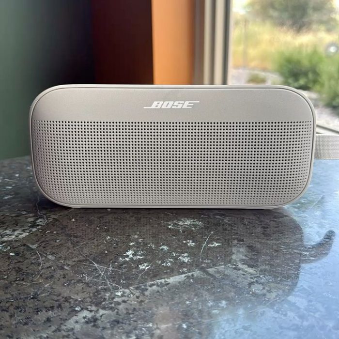 Bose SoundLink Flex - Lunar White (Pro Edition)